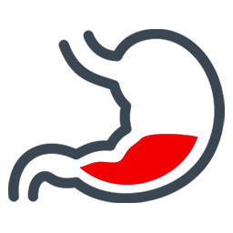 Gastroenterologia
