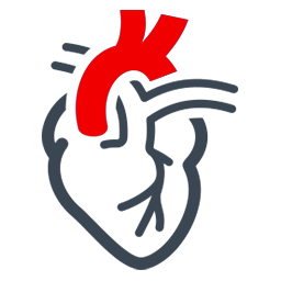 Kardiologia
