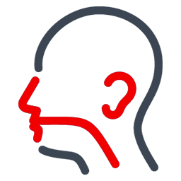 Otolaryngologia