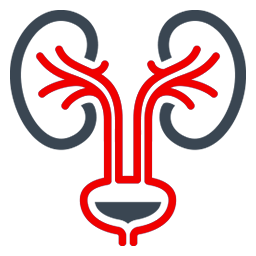 Urologia