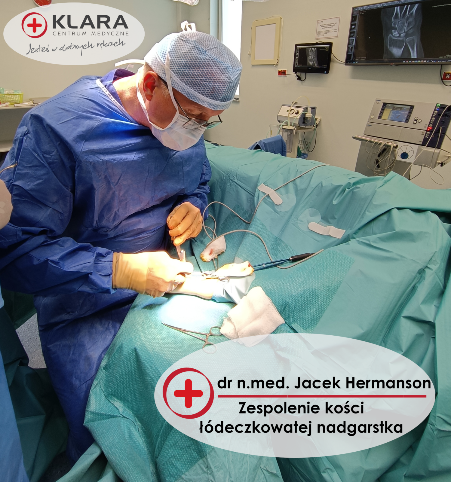 hermanson_lodeczkowata
