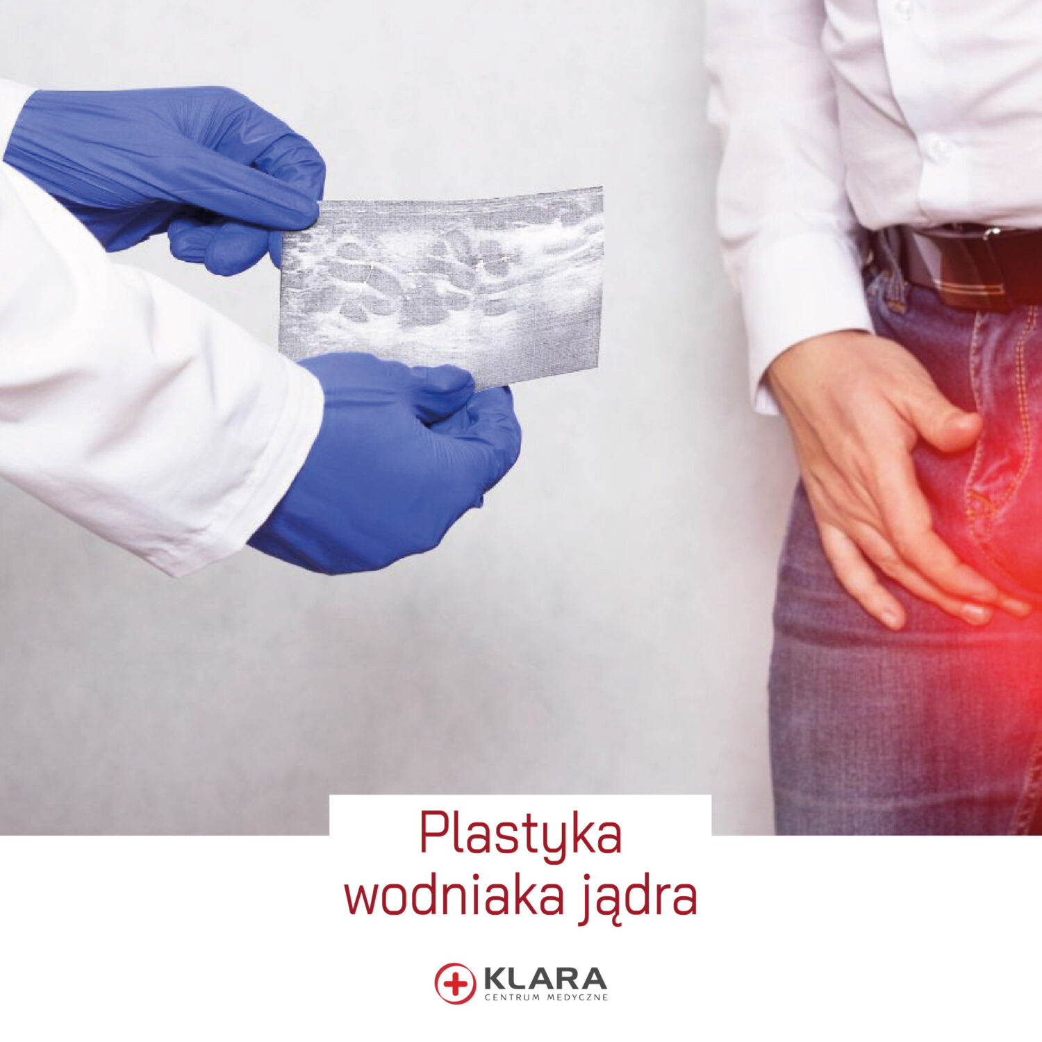 plasyka wodniaka jądra-20