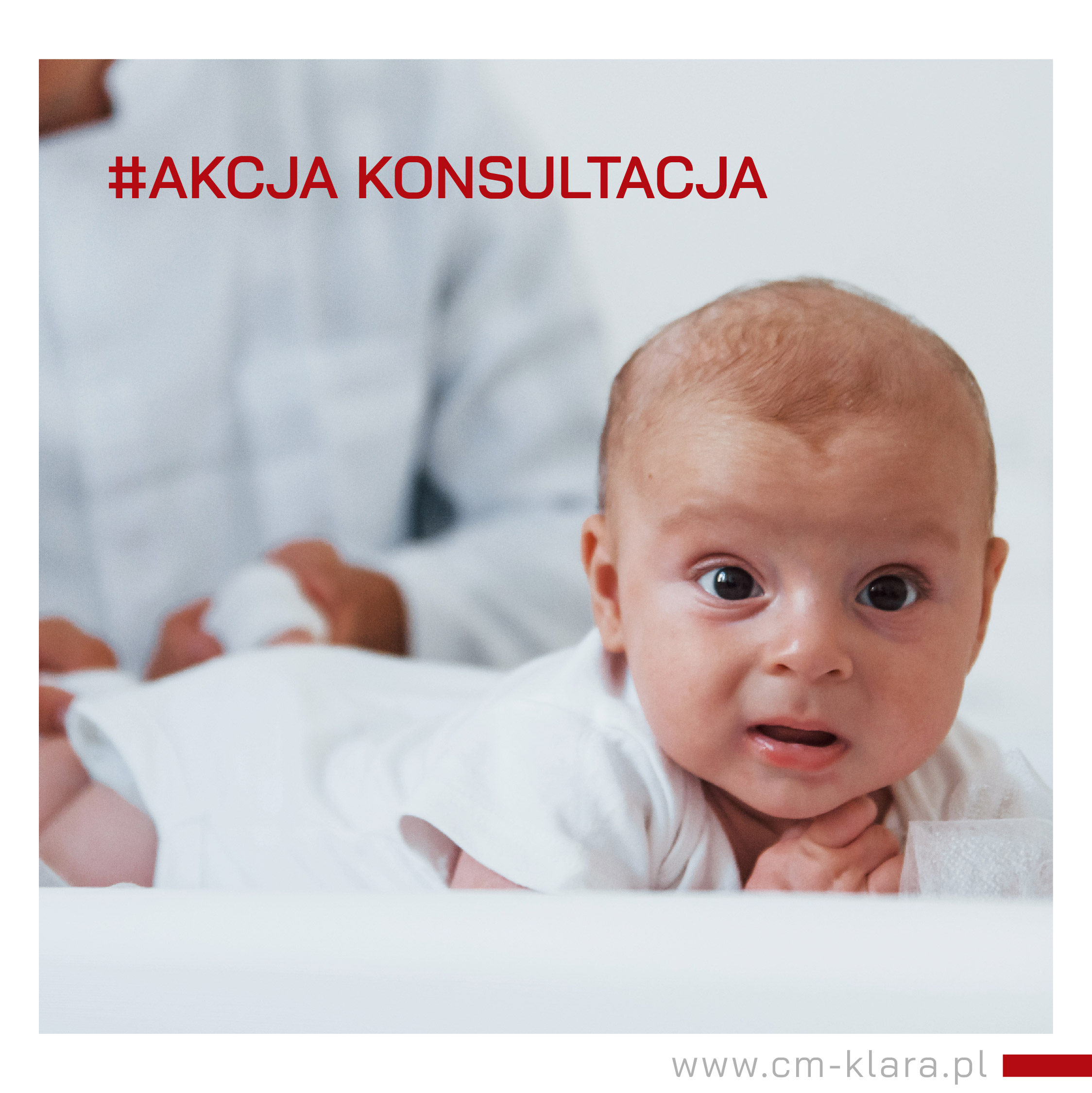 konsultacje dla Ani-10