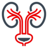 Urologia