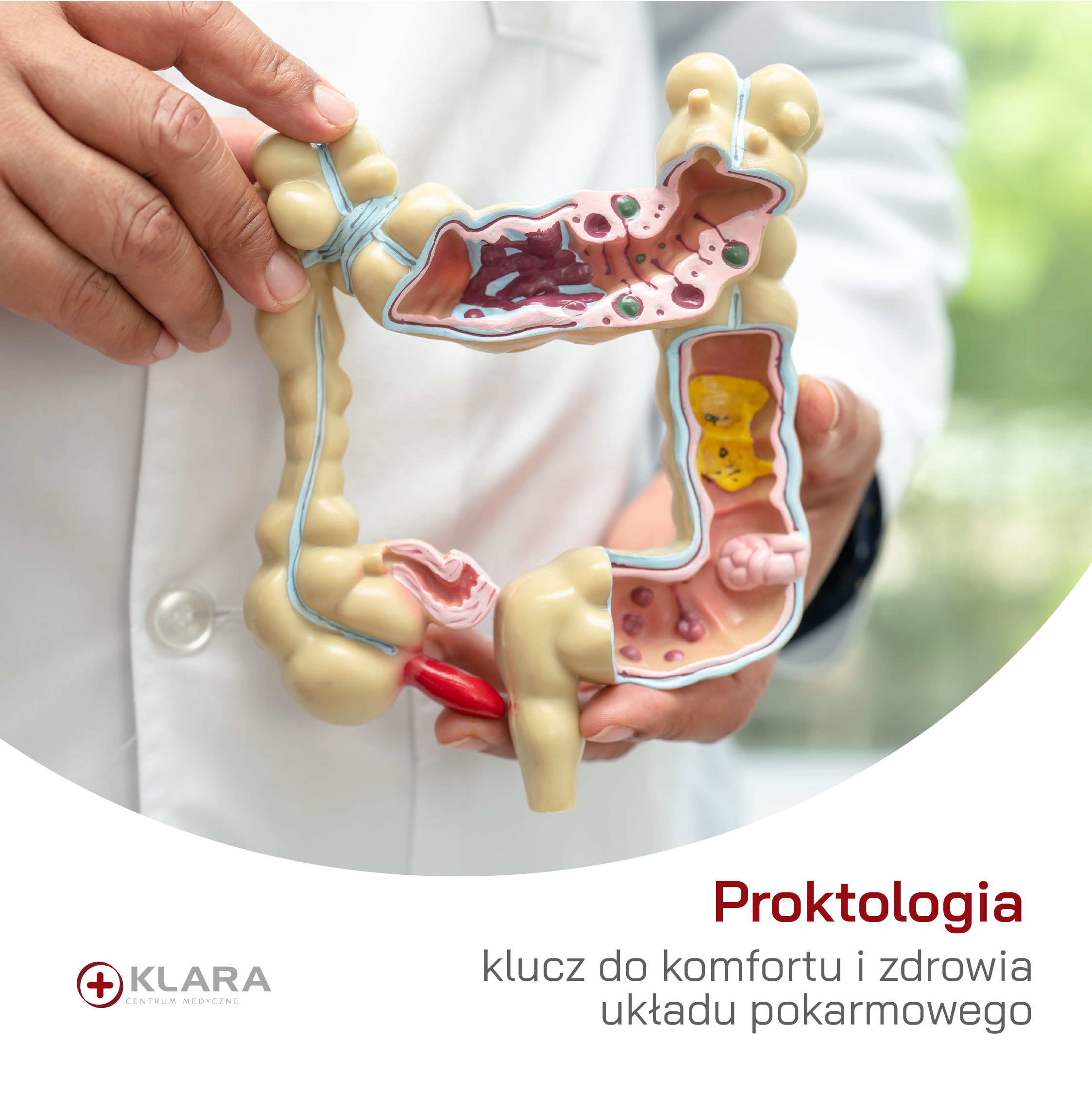 Proktologia -46