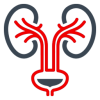 Urologia