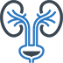 Urologia kopia